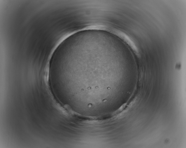X0000102851276200808181409