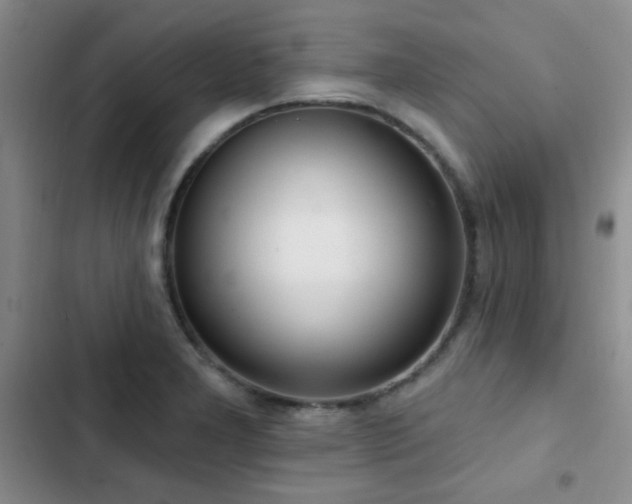 X0000102851277200808181409