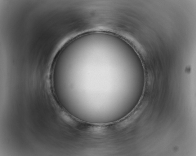 X0000102851278200808181409
