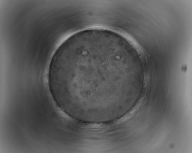 X0000102851279200808181409
