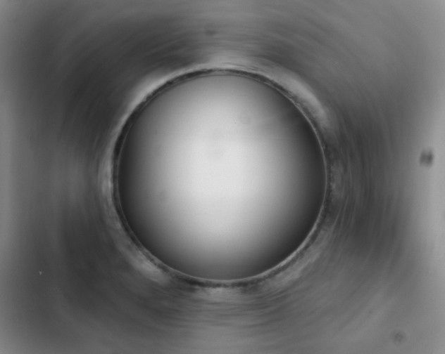 X0000102851280200808181409