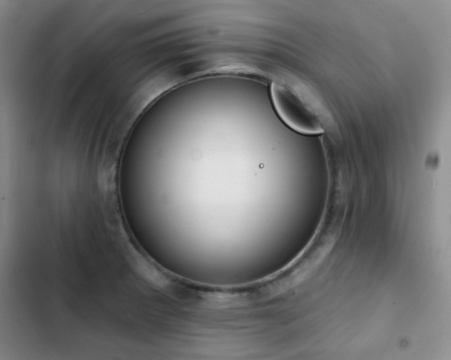 X0000102851281200808181409
