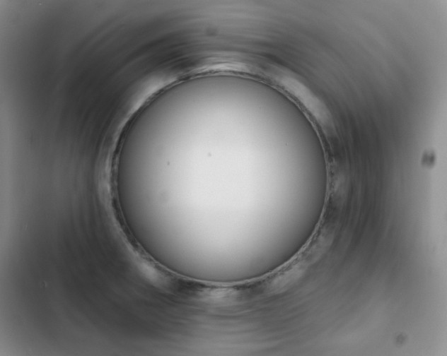 X0000102851282200808181409