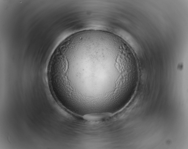 X0000102851283200808181409