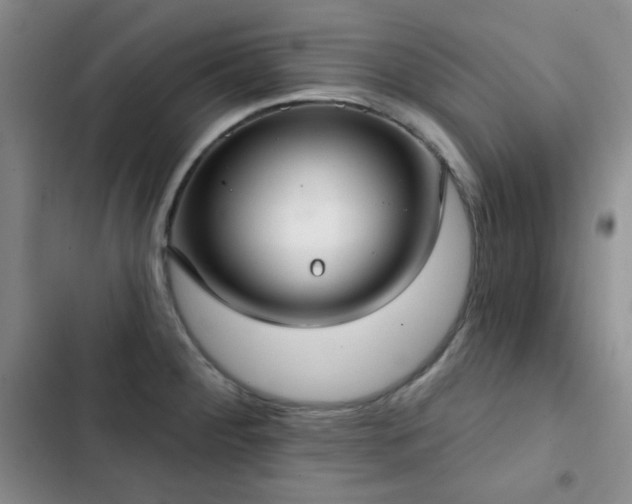 X0000102851284200808181409