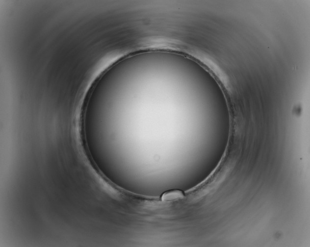 X0000102851285200808181409