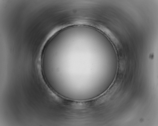 X0000102851286200808181409