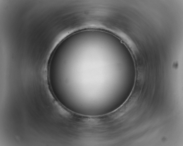 X0000102851287200808181409