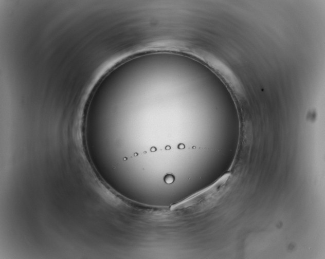 X0000102851288200808181409