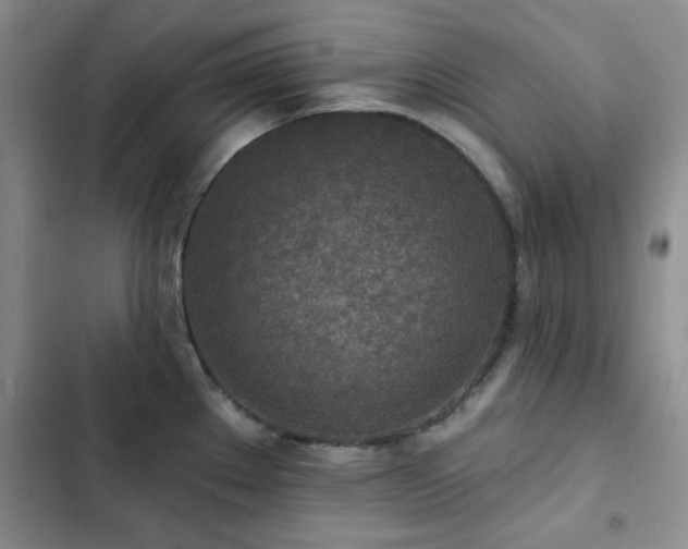 X0000102851289200808181409