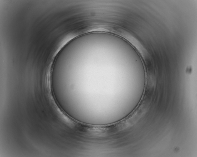 X0000102851290200808181409