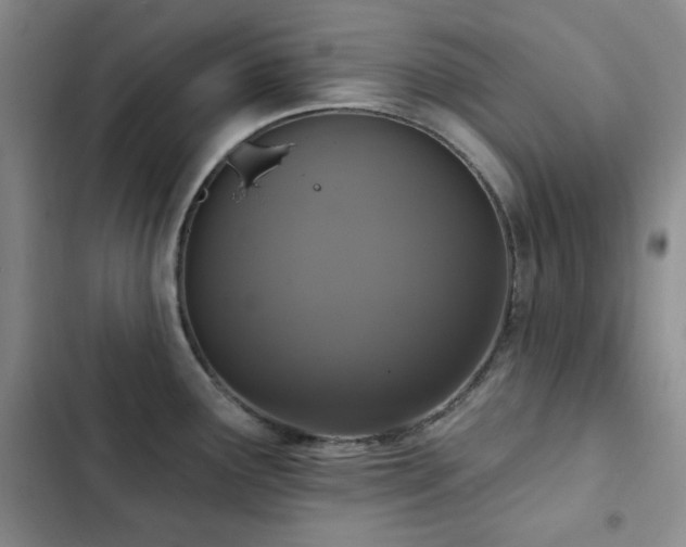 X0000102851291200808181409