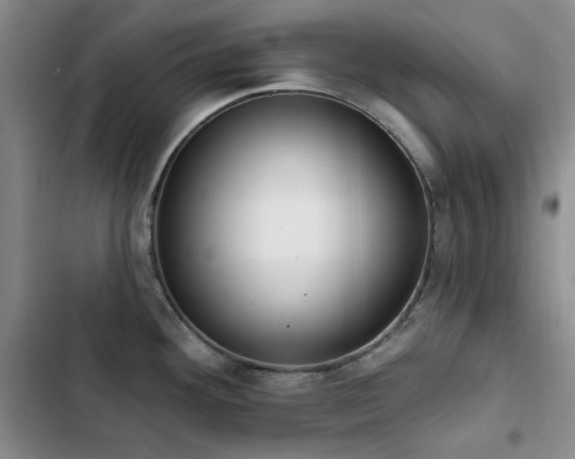 X0000102851292200808181409