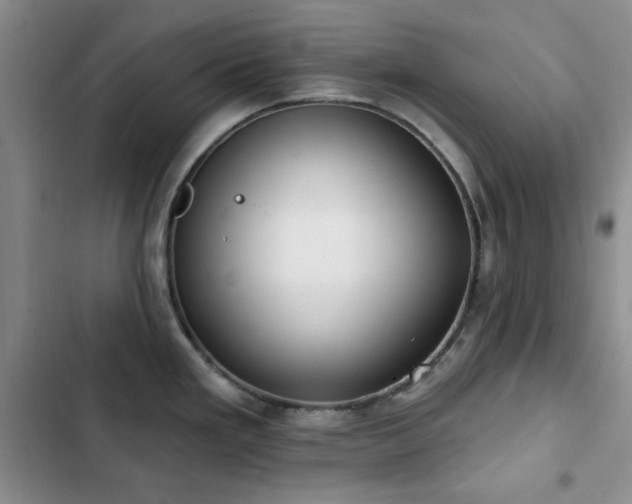 X0000102851293200808181409