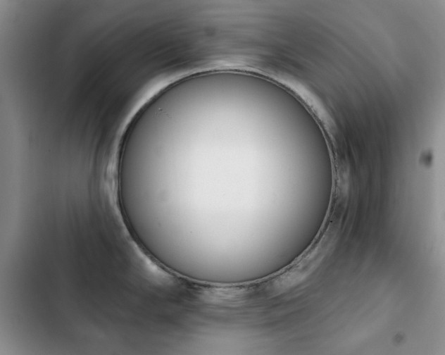 X0000102851294200808181409