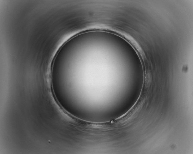X0000102851295200808181409
