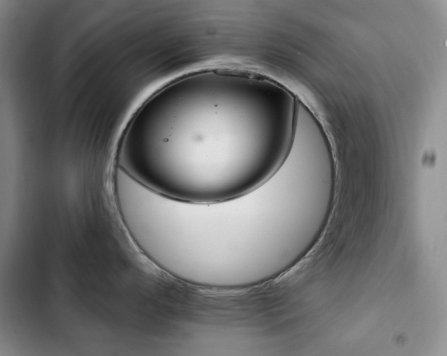 X0000102851296200808181409