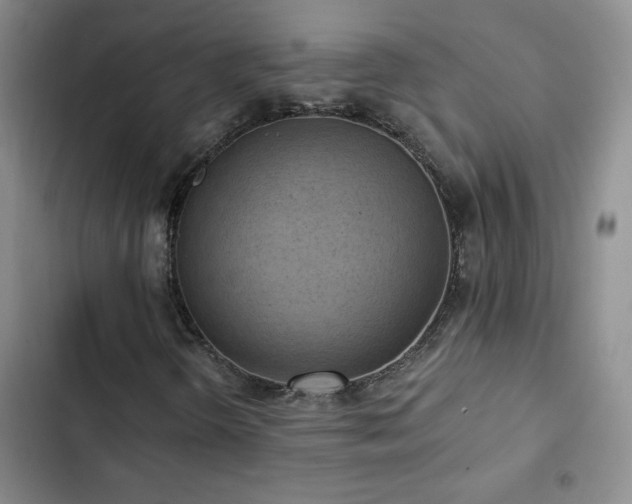 X0000102851298200808181408