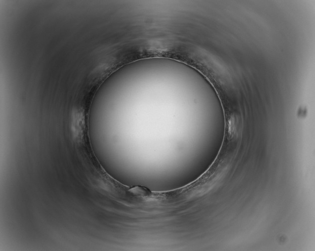 X0000102851299200808181408
