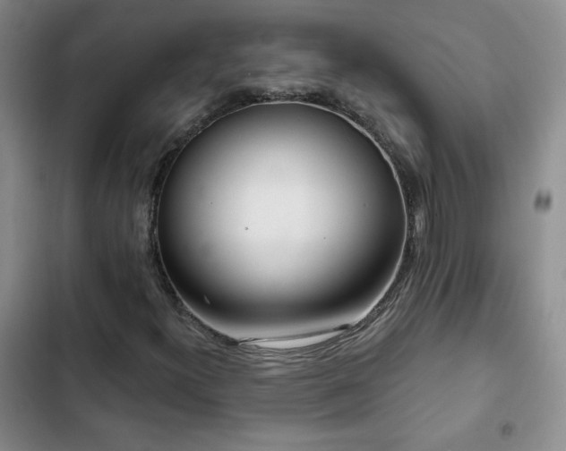X0000102851300200808181408