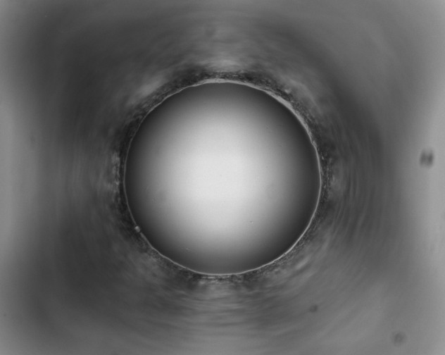 X0000102851301200808181408