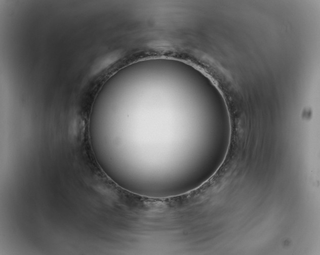 X0000102851302200808181408