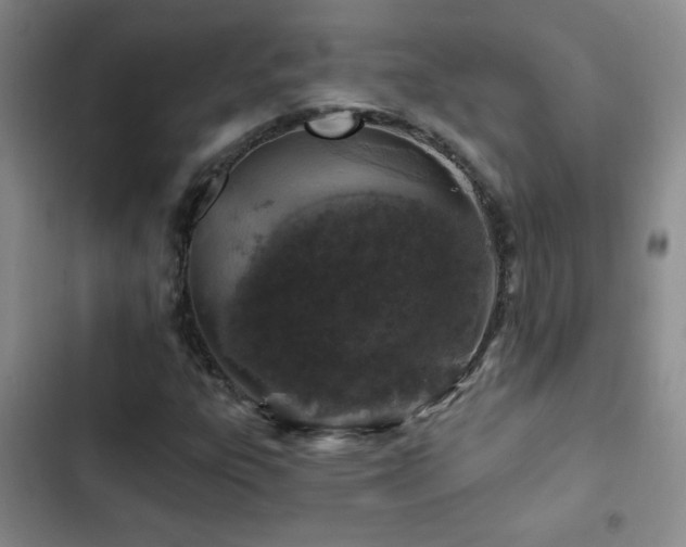 X0000102851303200808181408