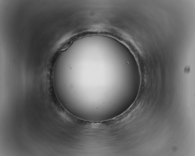 X0000102851304200808181408