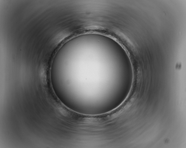 X0000102851305200808181408