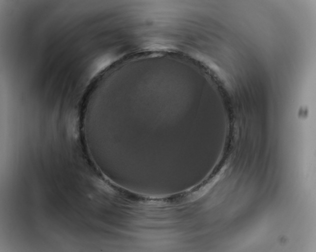 X0000102851306200808181408