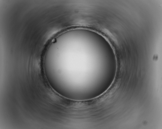 X0000102851307200808181408
