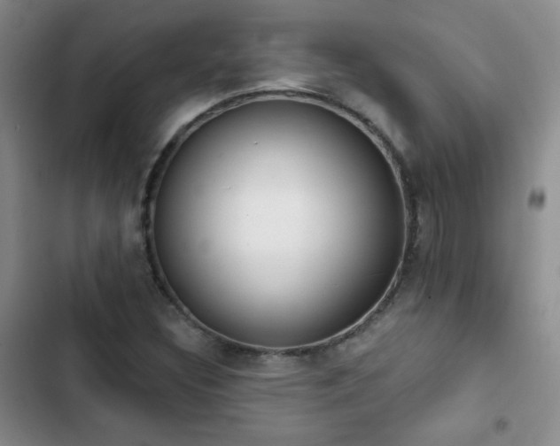 X0000102851308200808181408