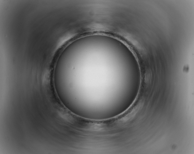 X0000102851309200808181408