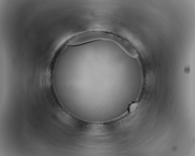 X0000102851310200808181408