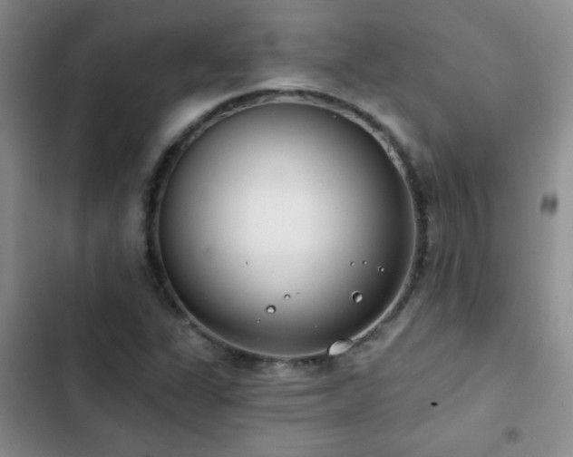 X0000102851311200808181408