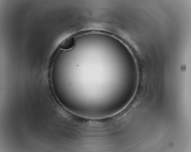 X0000102851312200808181408