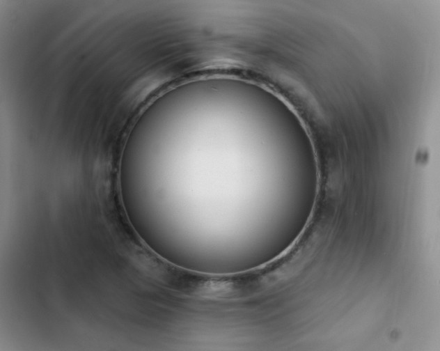 X0000102851313200808181408