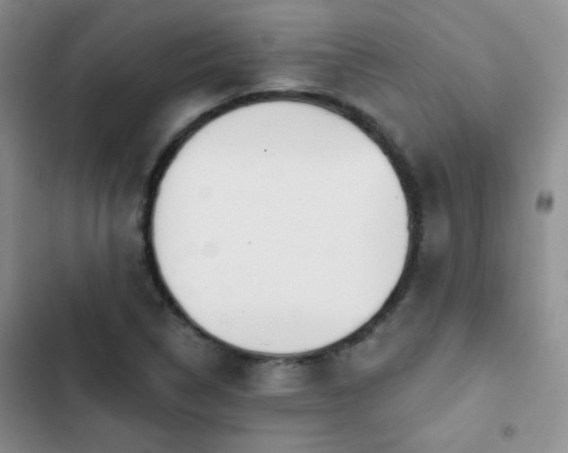 X0000102851314200808181408