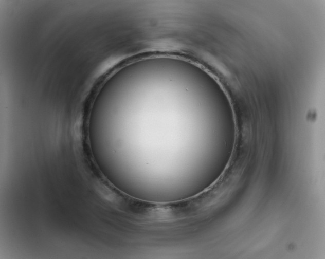 X0000102851315200808181408
