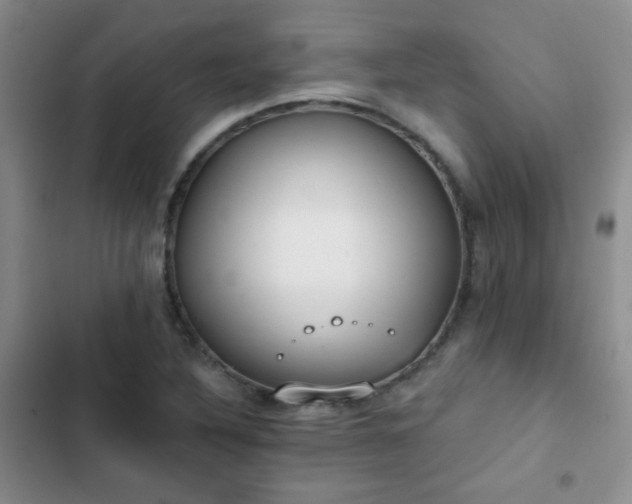 X0000102851316200808181408