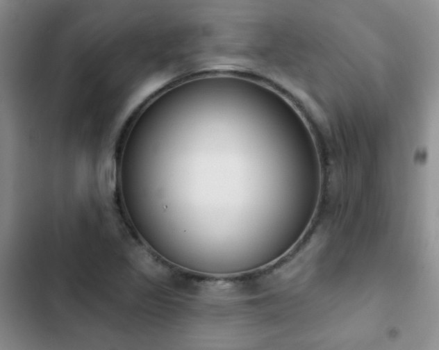 X0000102851317200808181408