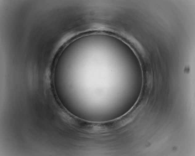 X0000102851318200808181408