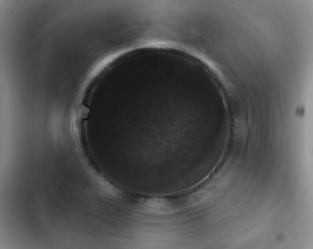 X0000102851319200808181408