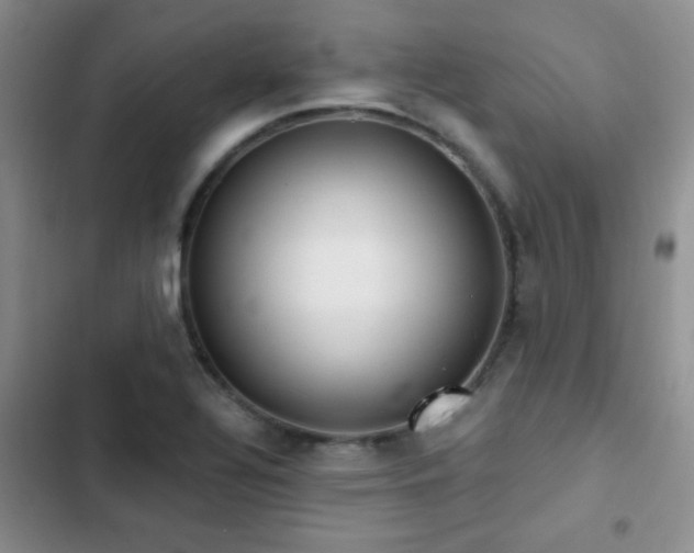 X0000102851320200808181408