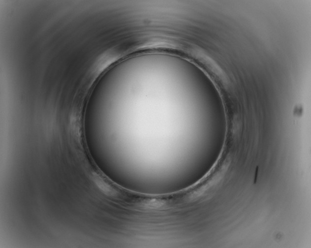 X0000102851321200808181408