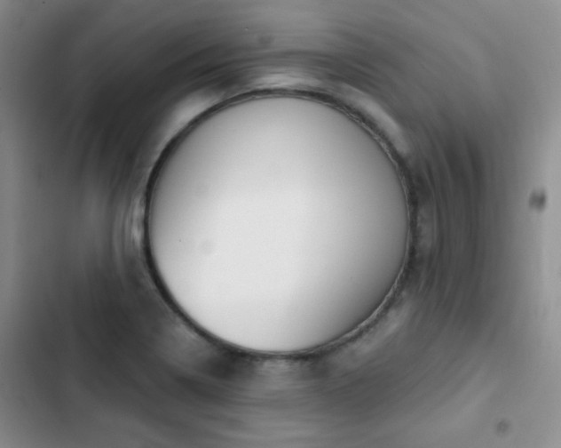 X0000102851322200808181408