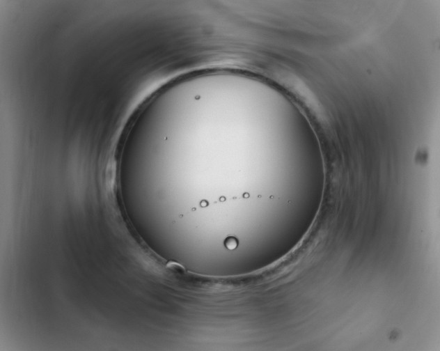 X0000102851324200808181408