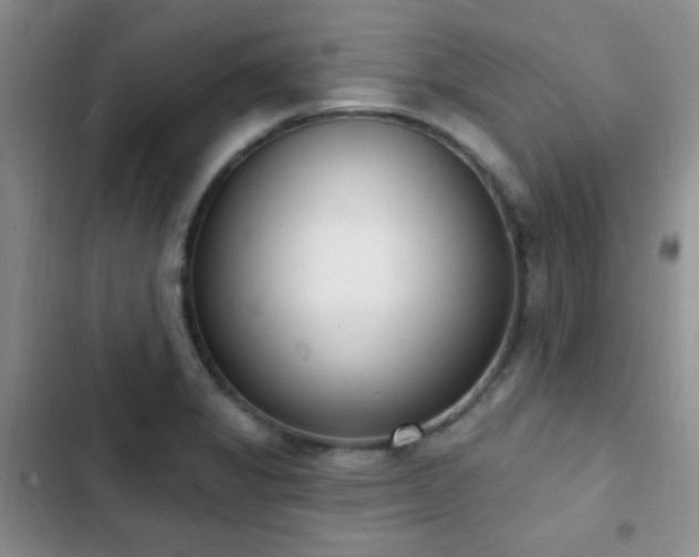 X0000102851325200808181408