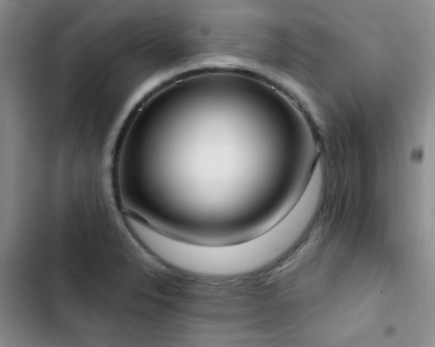 X0000102851326200808181408