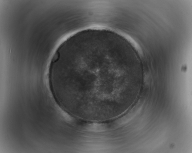 X0000102851327200808181408